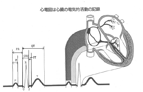 心電図を中心とした心臓病患者のみかた